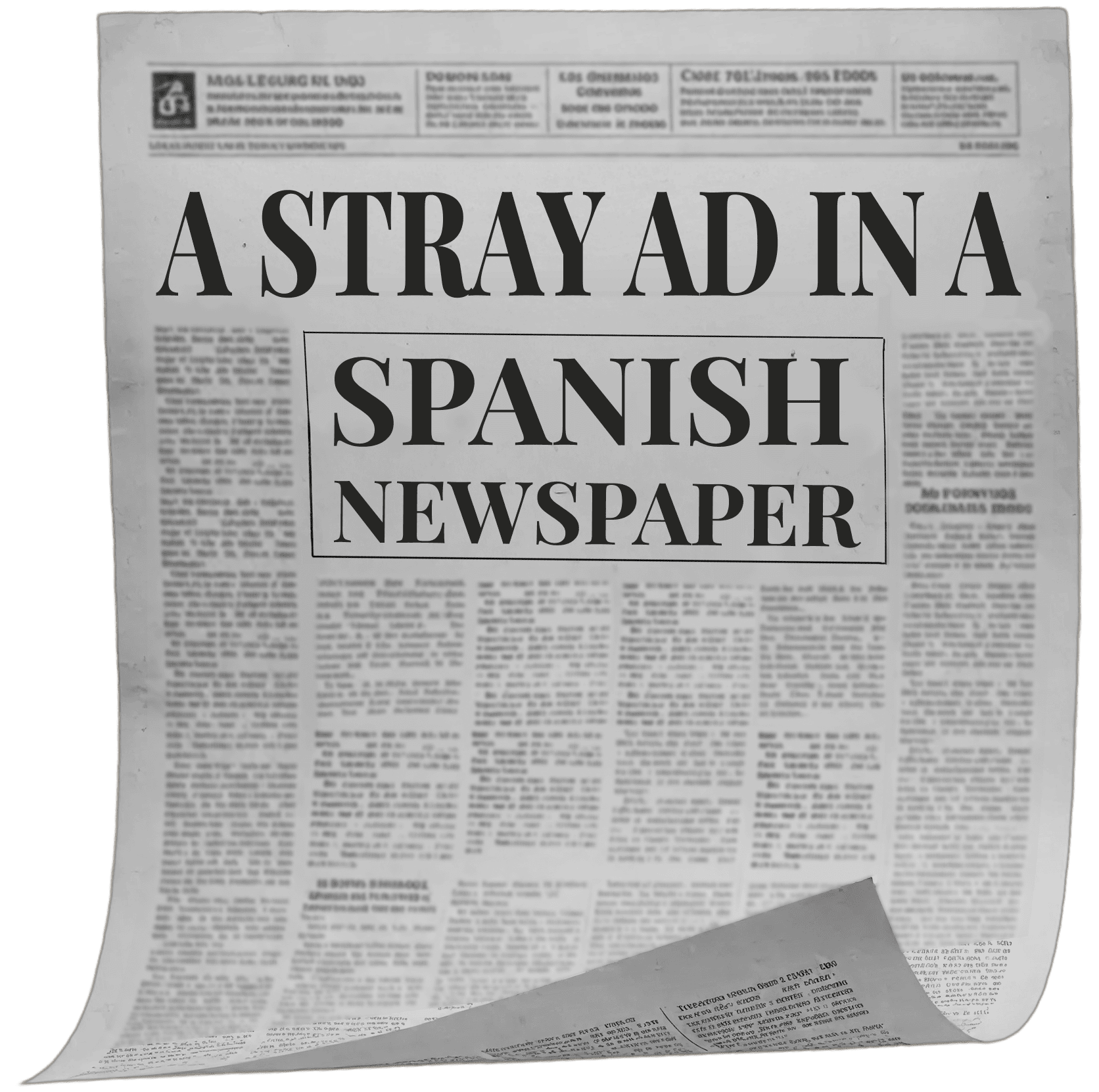 Newspaper